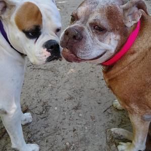 Meet your Posher, Sue